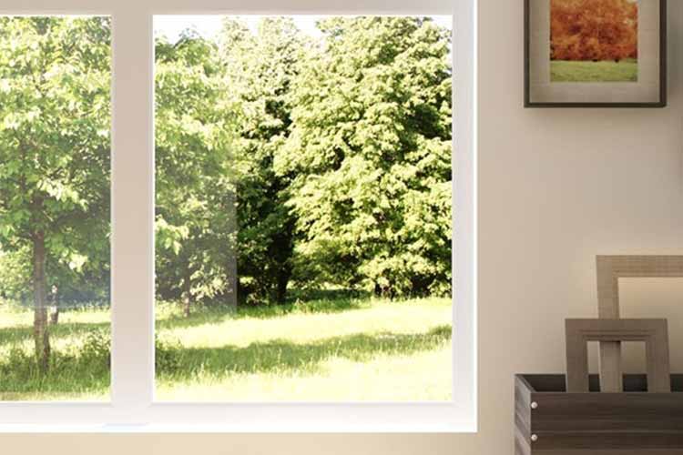 PICTURE WINDOWS