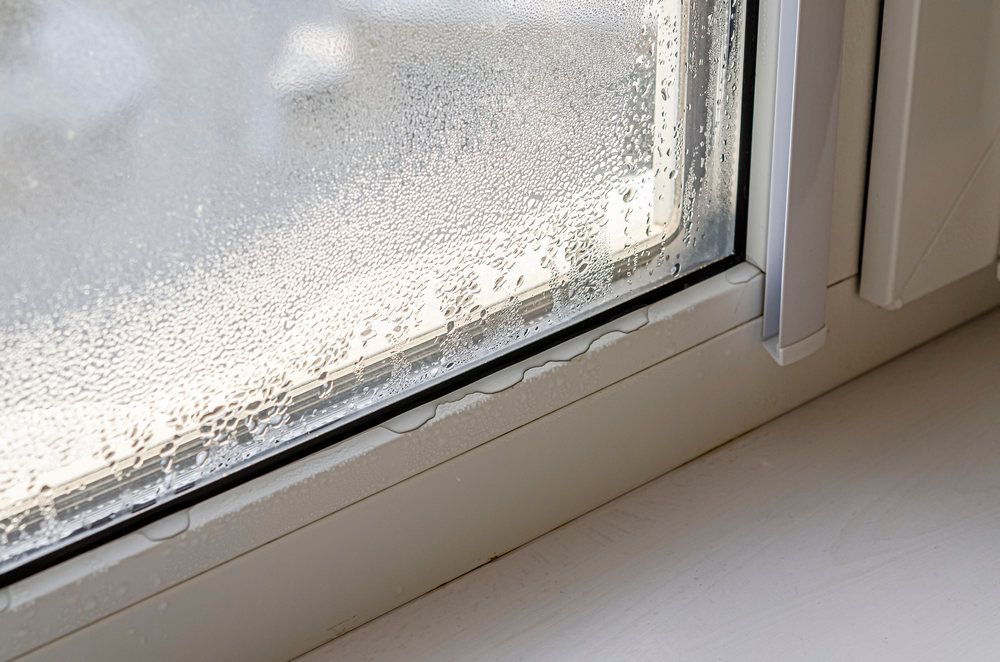 6 Signs You Need New Windows