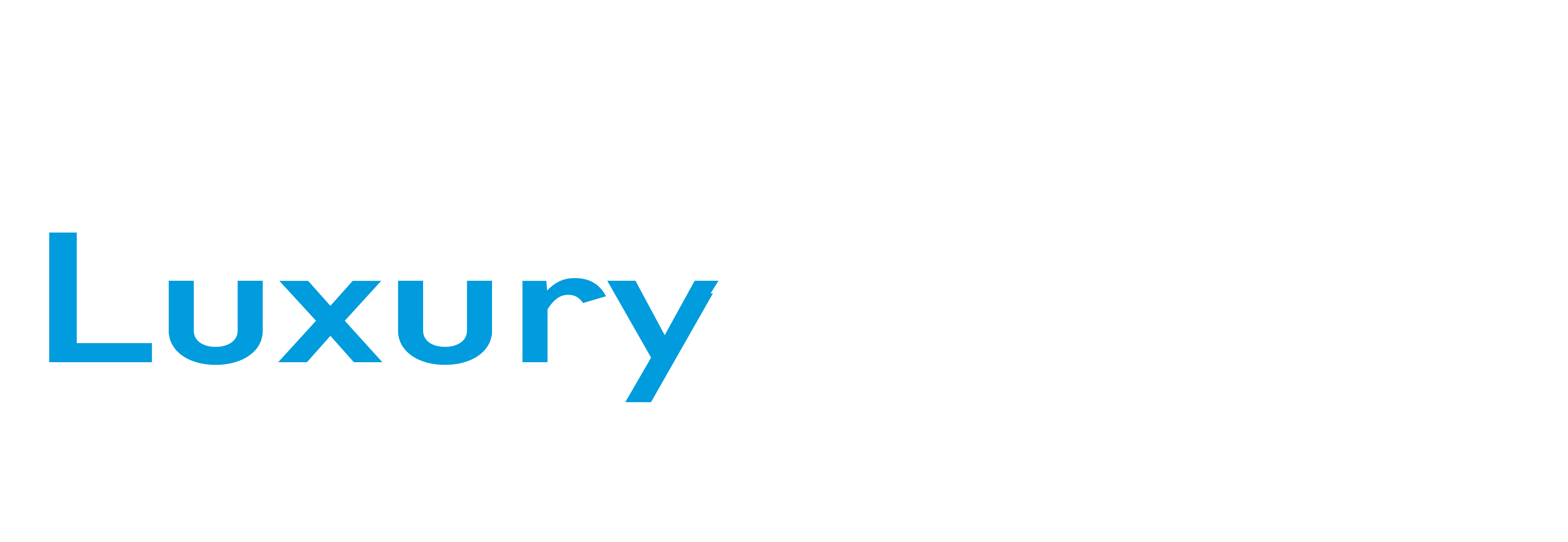 Avada Car Dealer Logo